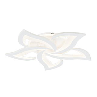 Image-product