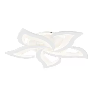 Image-product