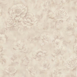 Image-product