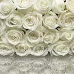 8-314 A la Rose 368-254 - img 1