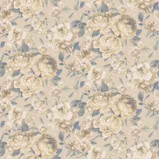 Image-product