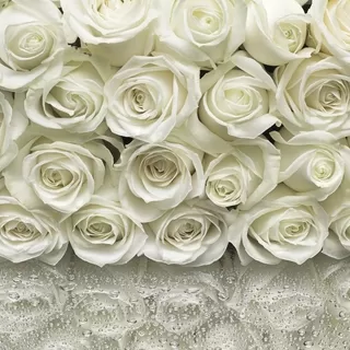 8-314 A la Rose 368-254