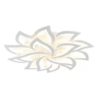 Image-product
