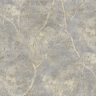 Image-product