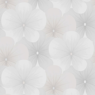 Image-product