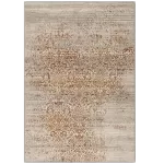 410-1-000 Covor Patina 160 x 230 Osta - img 1