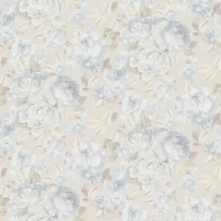 Image-product