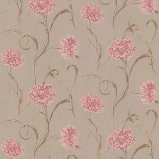 Image-product