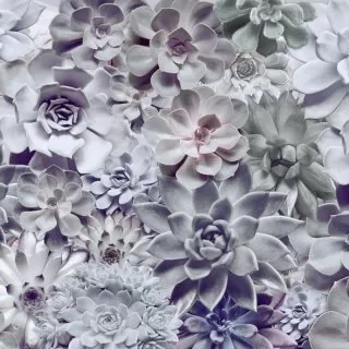 8-962 Shades 368*254 cm