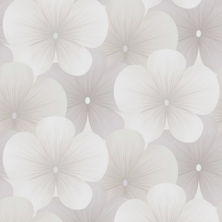 Image-product