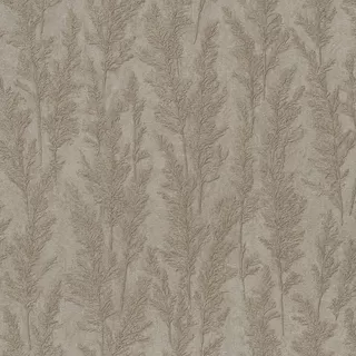 Image-product