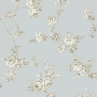 Image-product