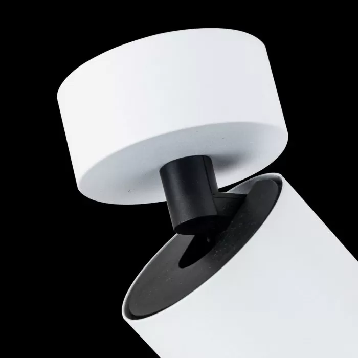 LP749-1WC Spot iOS WH+SL Lampardi 1x50w GU10/H7-10cm D6cm - img 5