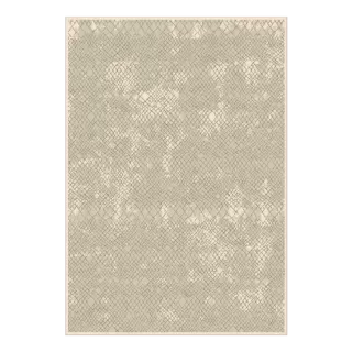 622 - 595841 Covor Lustrous 200 x 300 Verbatex