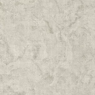 Image-product