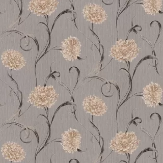 Image-product