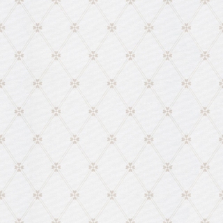 Image-product