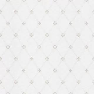 Image-product