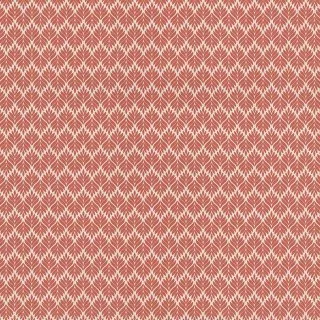 Image-product
