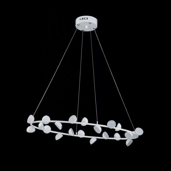 LP4012-D70R Lustra Paw Lampardi  - img 4