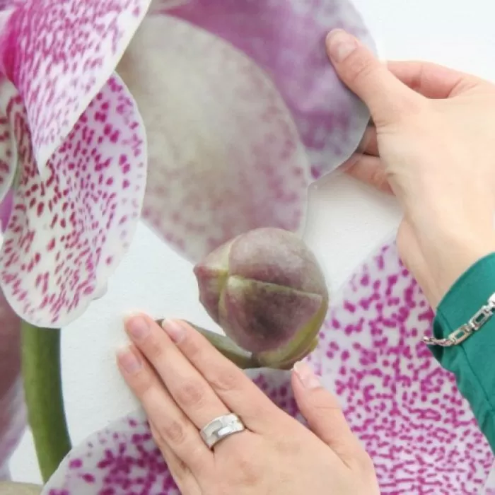 17702 Stiker Orchidee 76*175cm - img 2