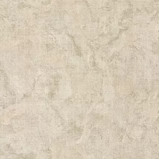Image-product