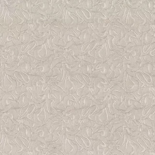 Image-product