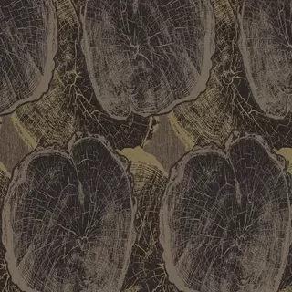 Image-product