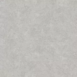889288 Tapete Concept 1,06 m
