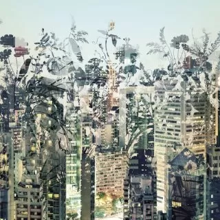 8-979 Urban Jungle 368*254 cm
