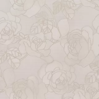 Image-product