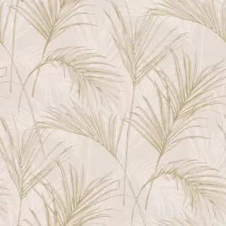Image-product