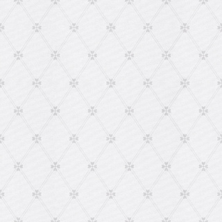 Image-product