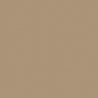 20579 Taupe/Champagne Covor Floorlux 200 x 290 