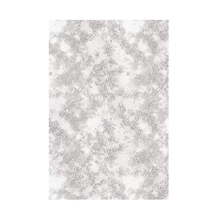 2820C_A1441 Grey/ Bej Covor Aysil 240 x 340 - img 1