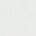 89311 Tapete Biotrend 1,06 m - img 1