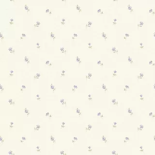 Image-product