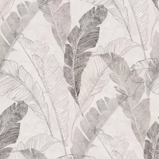 Image-product