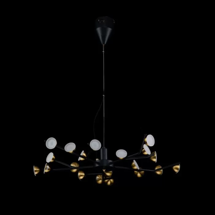 LP4013-D70P Lustra Paw Lampardi  - img 4