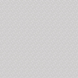 Image-product