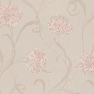 Image-product
