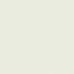 457511 # Tapete Bionic 1.06m - img 1