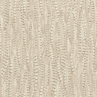 Image-product