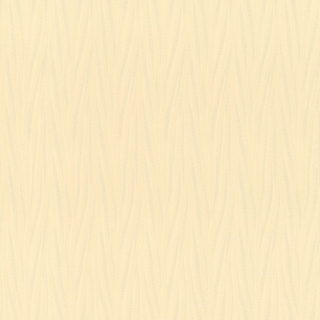 Image-product