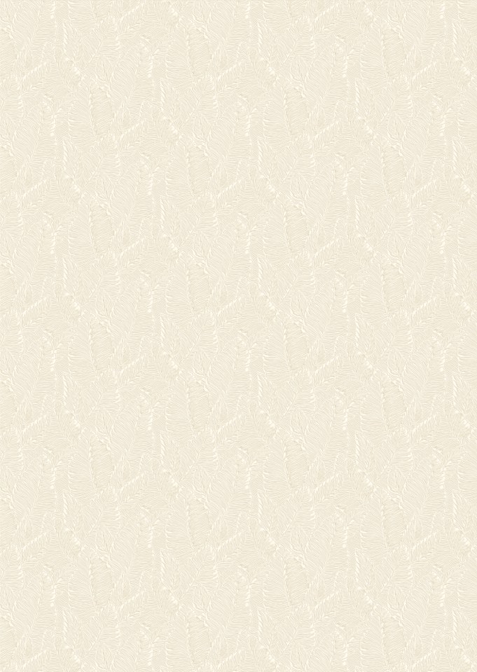 Image-product