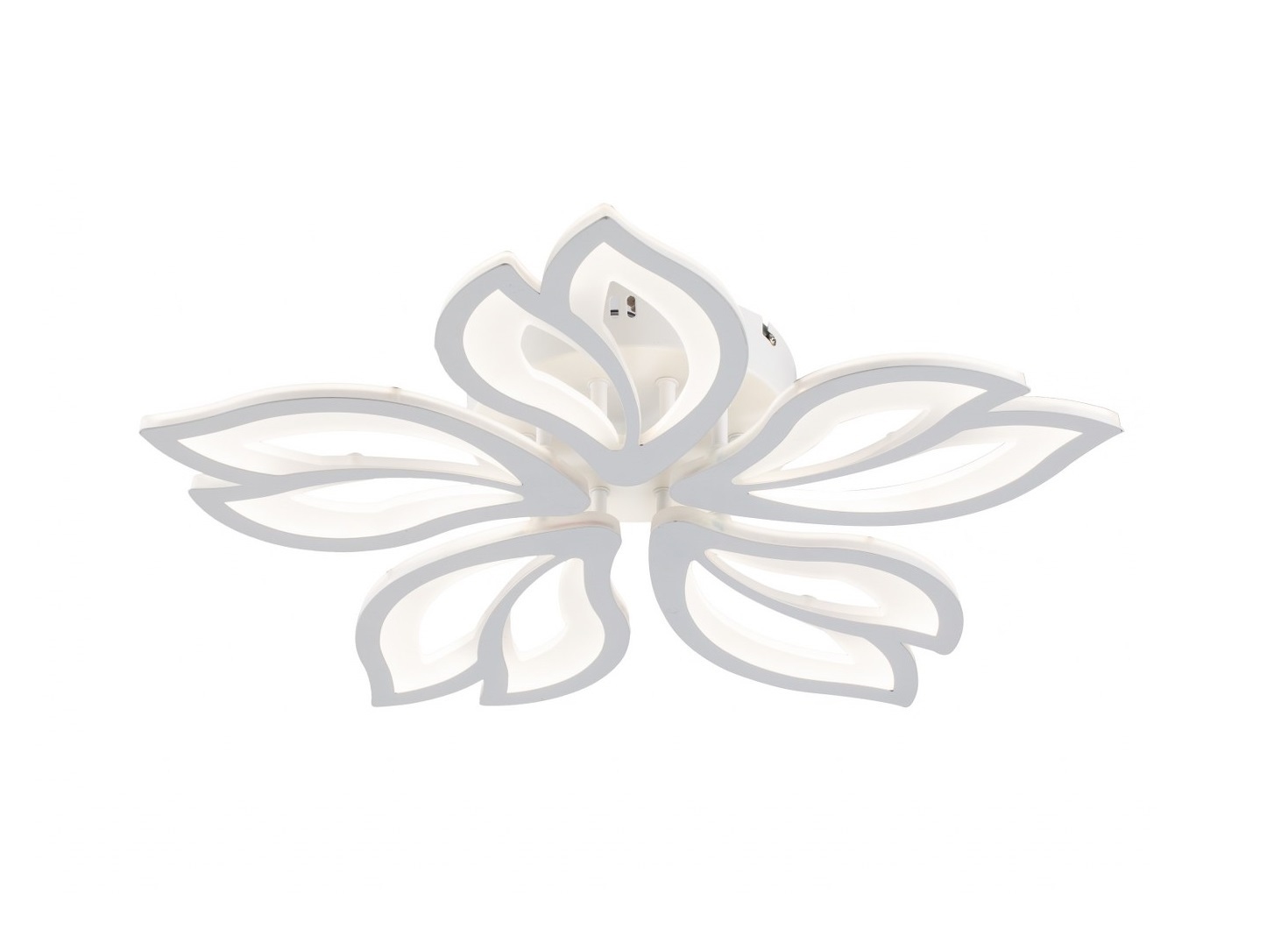 Image-product