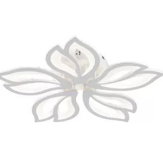 Image-product