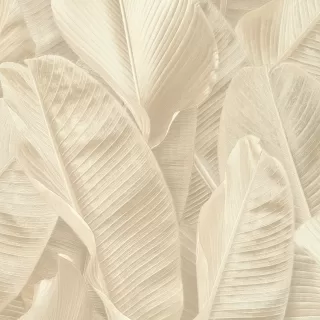 Image-product