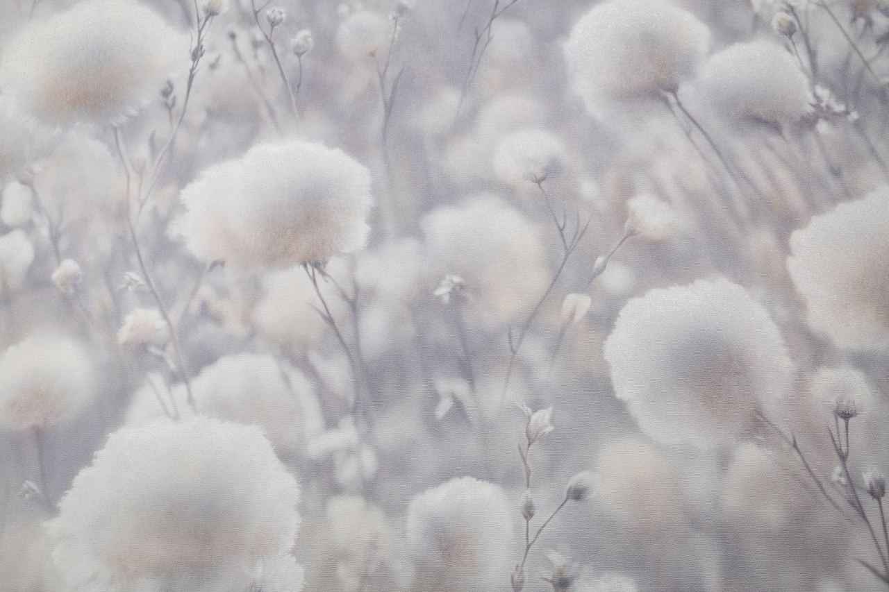 Image-product