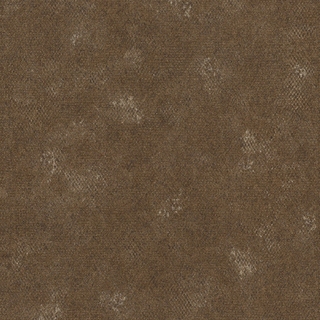 Image-product